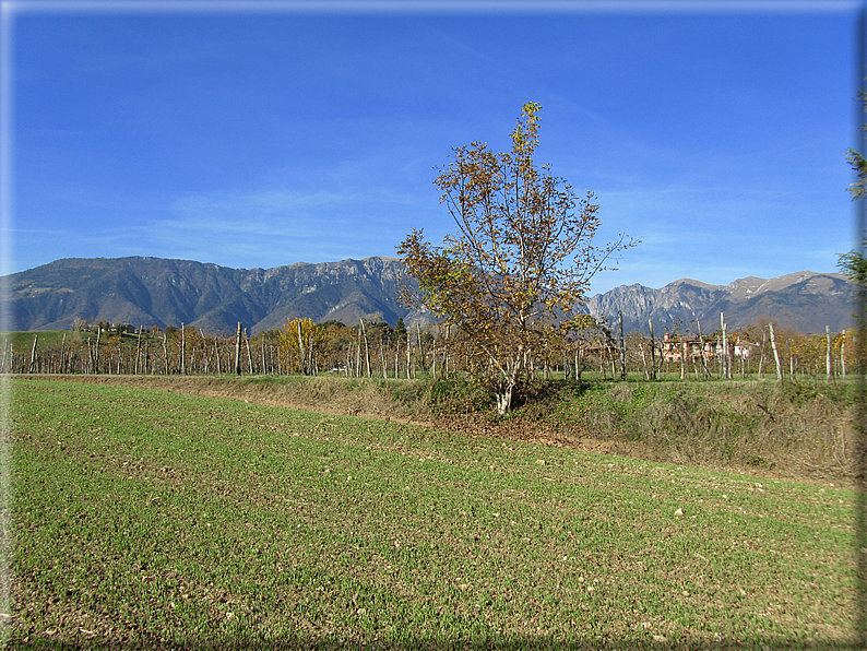 foto Alle pendici del Monte Grappa in Autunno